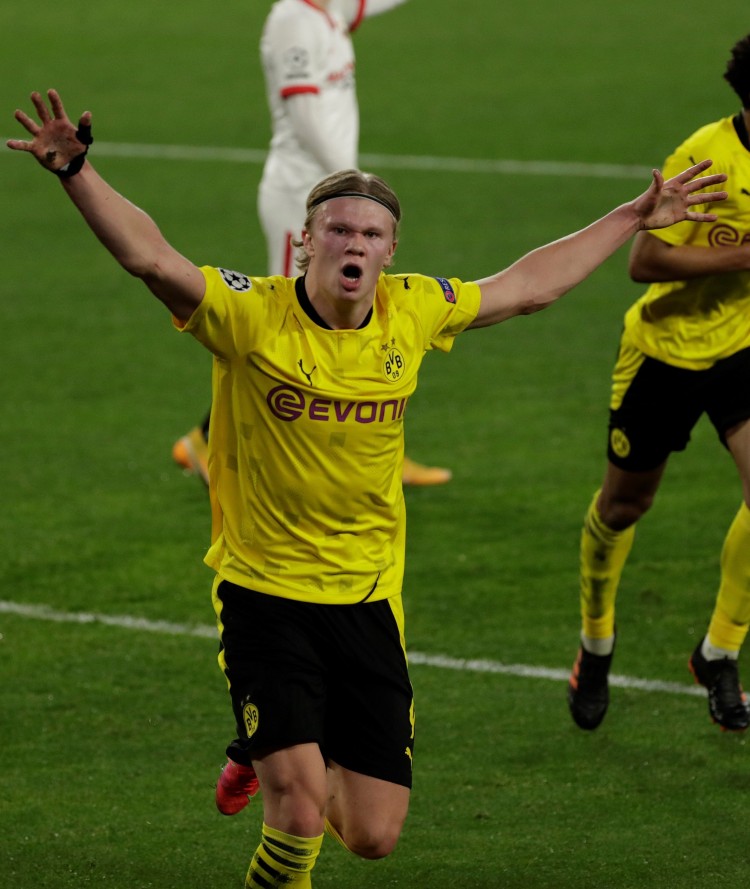 冷静剖析 冷静剖析